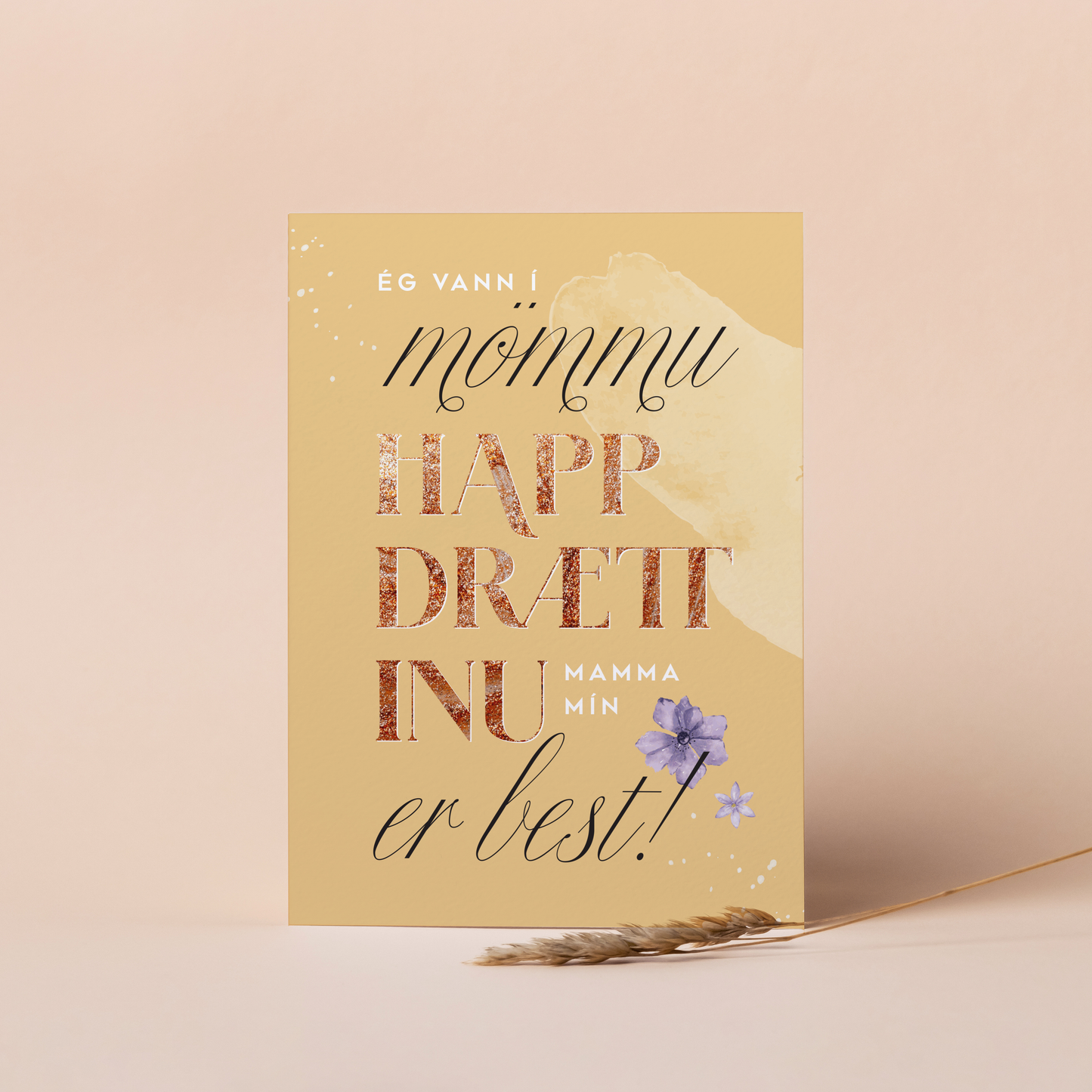 Tækifæriskort- Mömmuhappdrætti