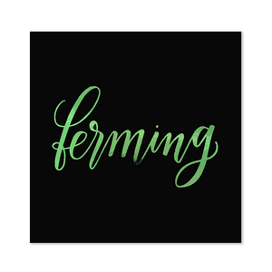 Peningaumslag/kort - "Ferming 3"