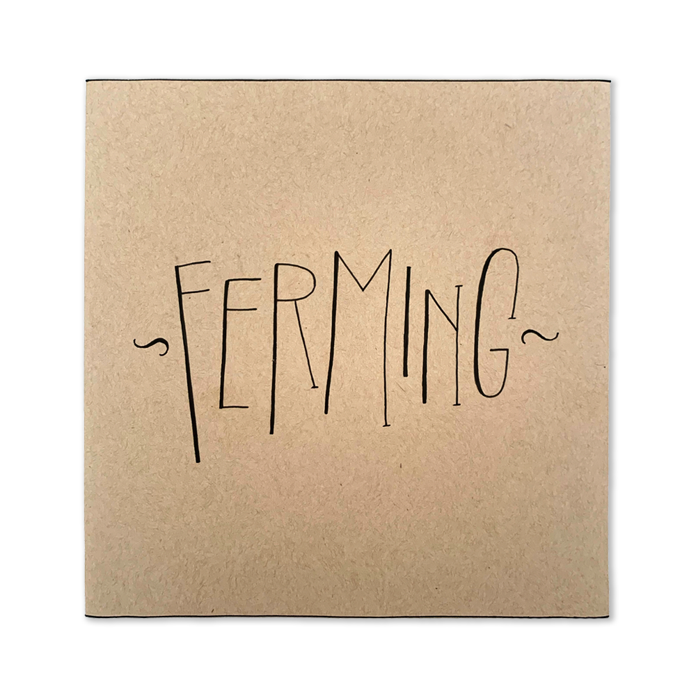 Peningaumslag/kort - 
