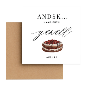 Tækifæriskort 17. -"Afmælið hans"